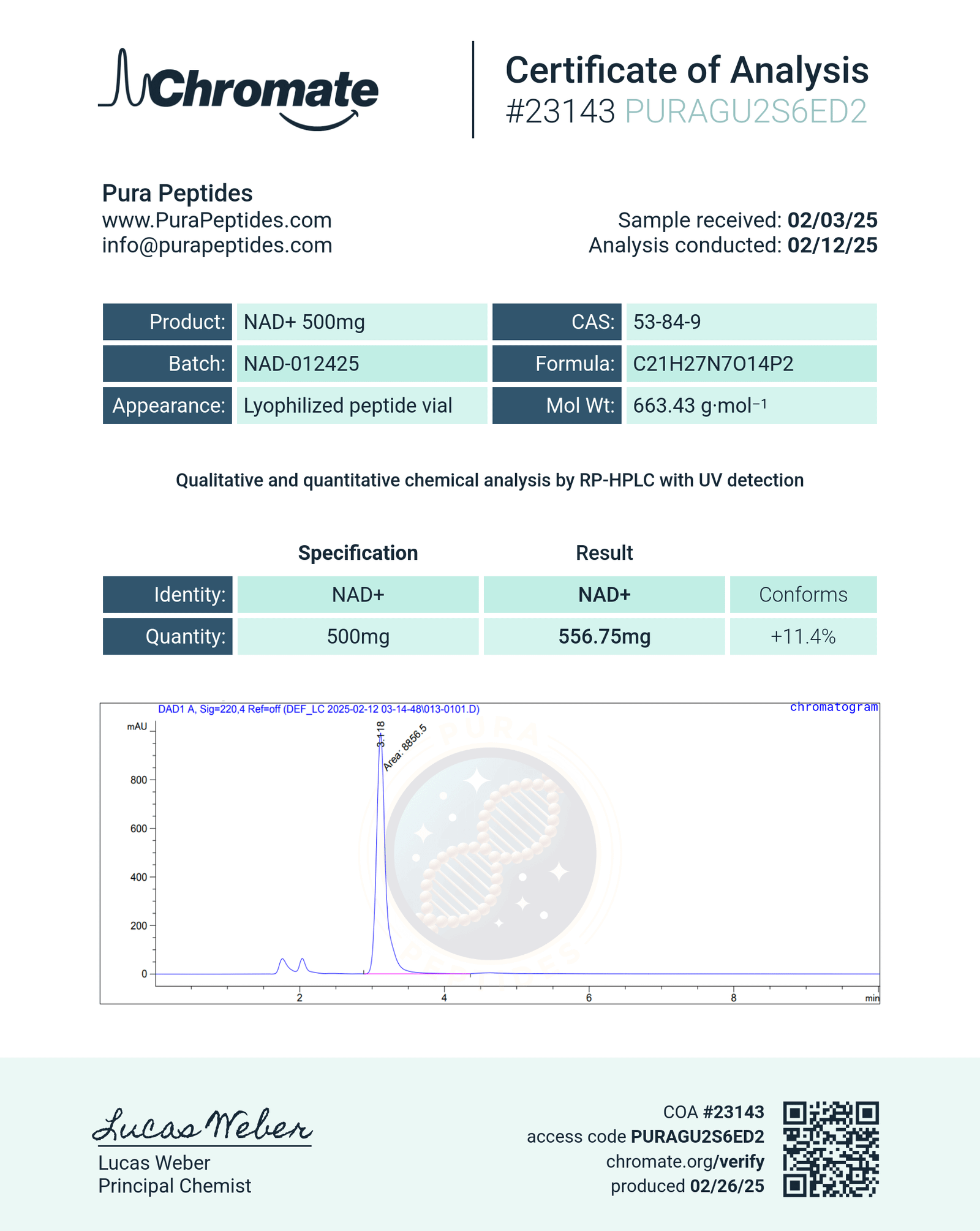 NAD+ 500mg research product image 2